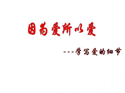 因为爱所以爱