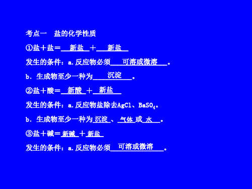 专题盐的化学性质和复分解反应精品PPT课件