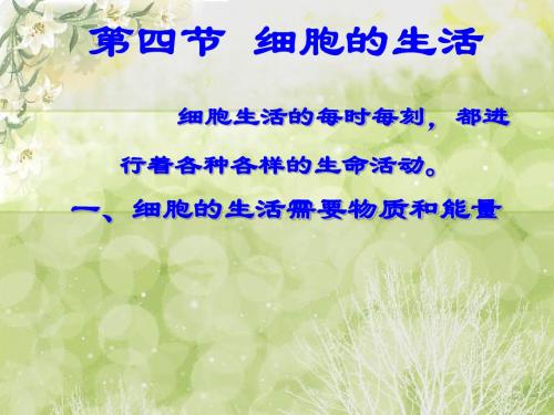 第四节 细胞的生活课件(共38张PPT)