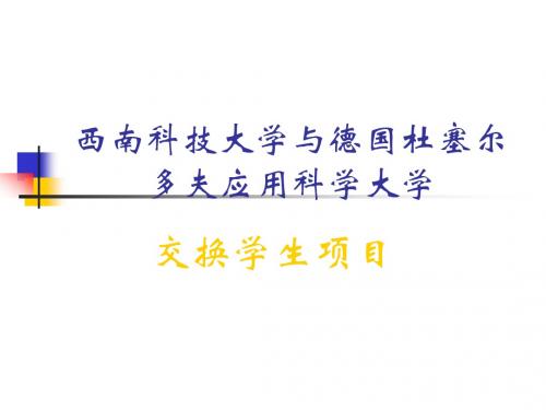西南科技大学与德国杜塞尔多夫应用科学大学交换学生项目