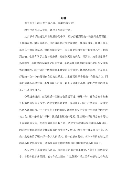心墙_高中作文