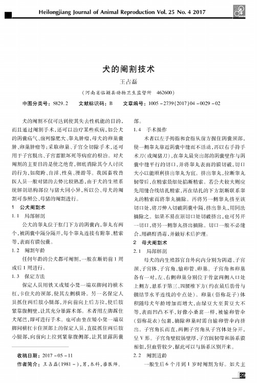 犬的阉割技术