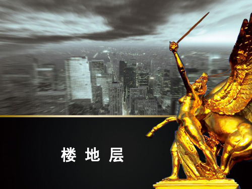 第8章楼地层课件