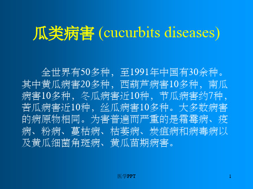 《瓜类病害学习资料》PPT课件