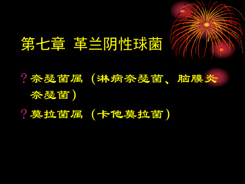 G-球菌【可编辑的文档】