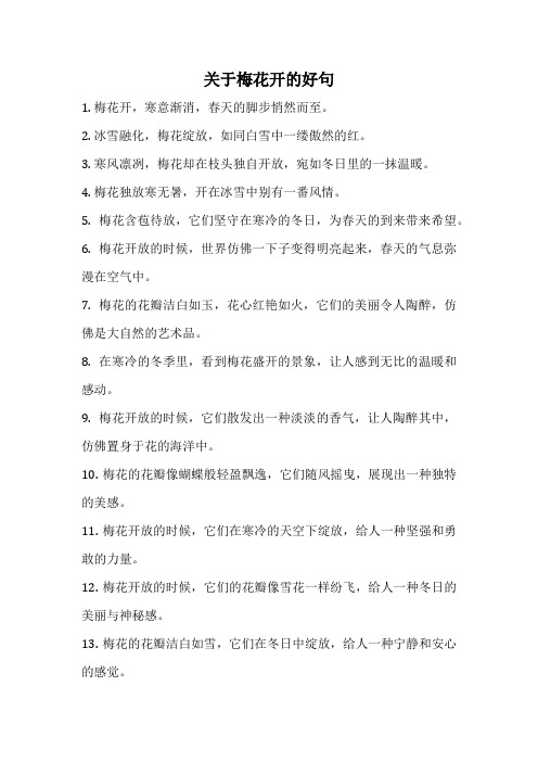 关于梅花开的好句