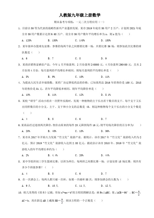 人教版九年级上册数学  期末备考专项练：一元二次方程应用(一)