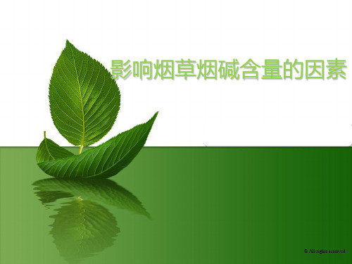 影响烟碱含量的因素