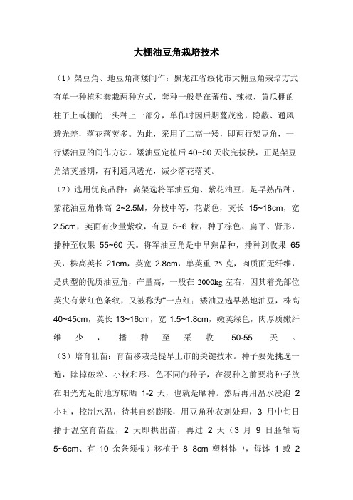 大棚油豆角栽培技术