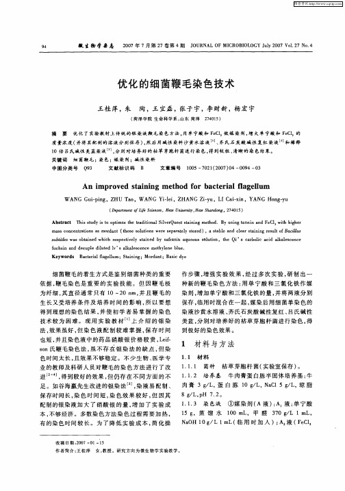 优化的细菌鞭毛染色技术