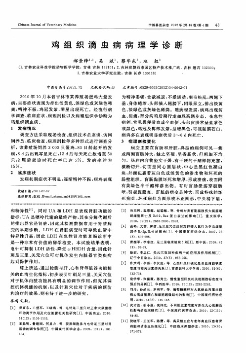 鸡组织滴虫病病理学诊断