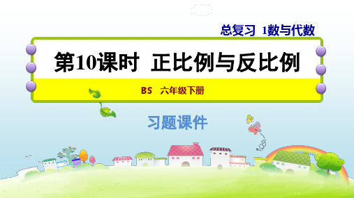 北师大版六年级下册数学习题课件 1.10 正比例与反比例 (共12张PPT)