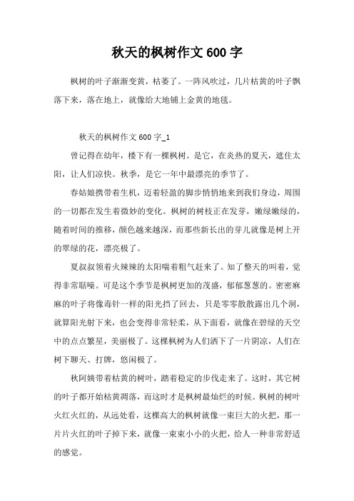 秋天的枫树作文600字