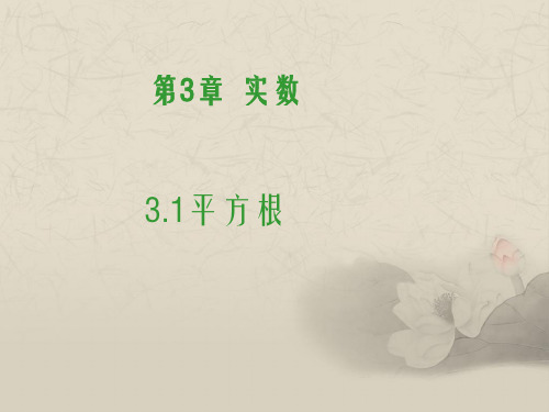 浙教版七年级数学上册 3.1《平方根》