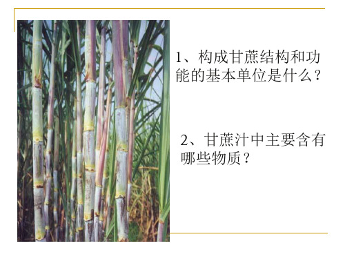 浙教版七年级科学上册4.1物质的构成1