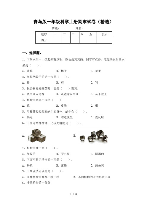 青岛版一年级科学上册期末试卷(精选)