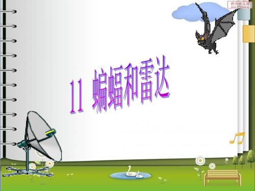 四年级下册语文第三单元11蝙蝠和雷达课件