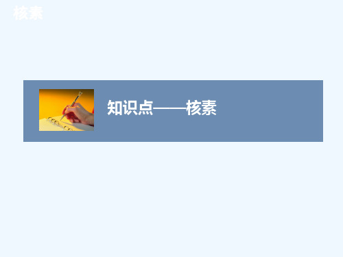 核素