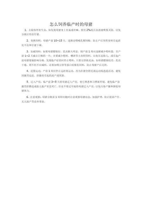 怎么饲养临产时的母猪