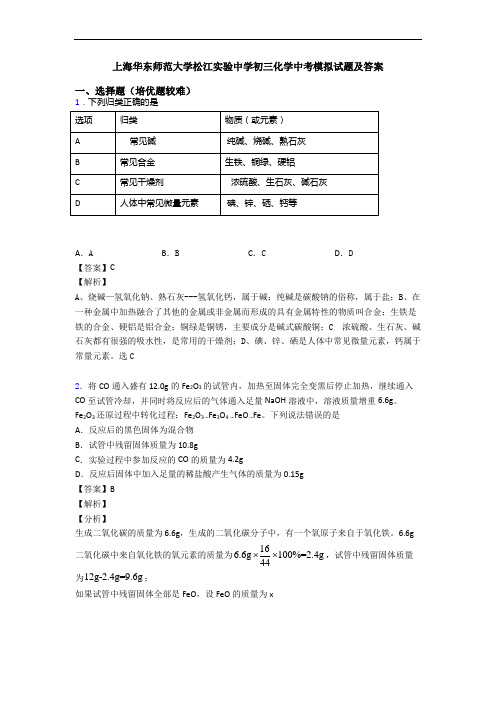 上海华东师范大学松江实验中学初三化学中考模拟试题及答案