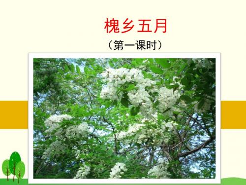 三年级下册语文课件-26.槐乡五月(苏教版2016)(共34张PPT)
