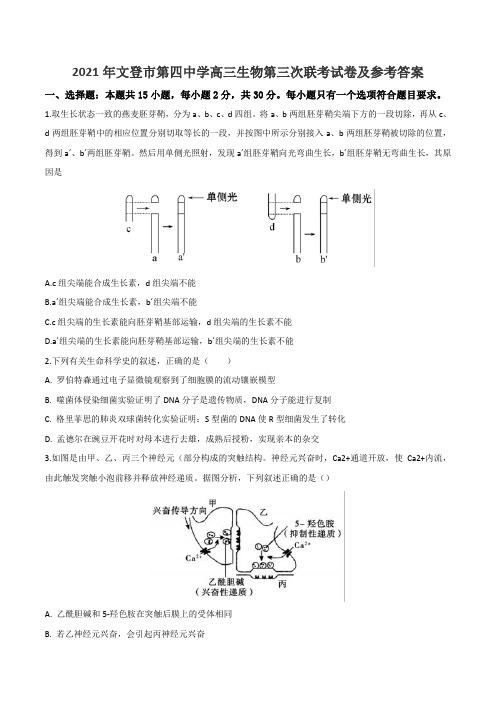2021年文登市第四中学高三生物第三次联考试卷及参考答案