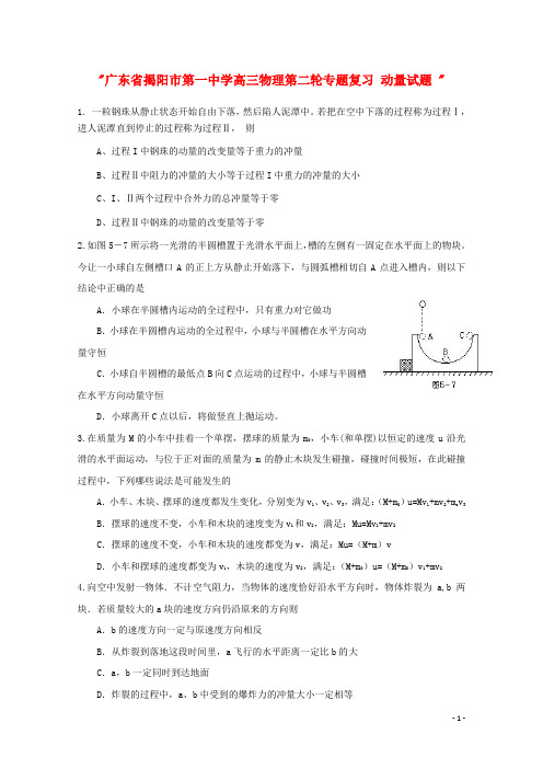 广东省揭阳市第一中学高三物理第二轮专题复习 动量试题
