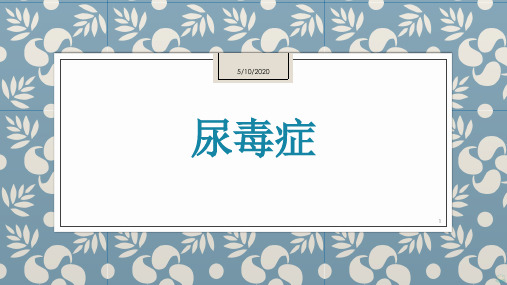 尿毒症PPT课件