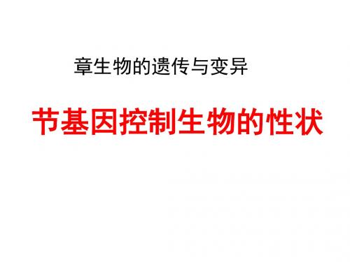 基因控制生物的性状PPT课件22 人教版