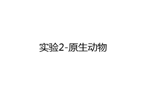 最新实验2-原生动物演示教学