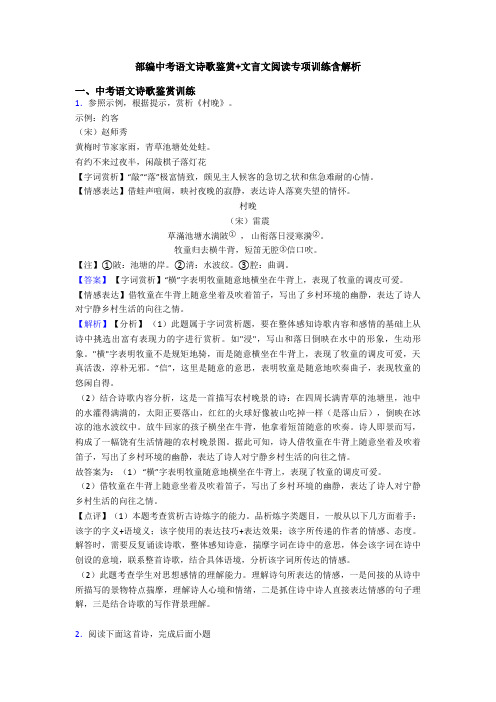 部编中考语文诗歌鉴赏+文言文阅读专项训练含解析