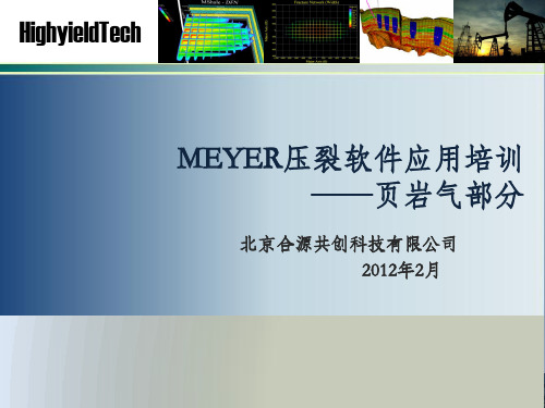 Meyer压裂分析软件页岩气模块