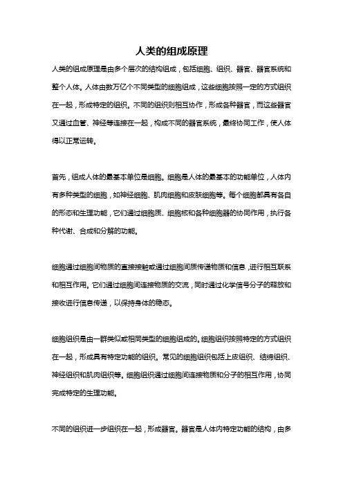 人类的组成原理