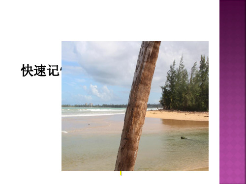快速记忆数字编码 ppt课件