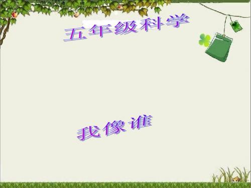 2019年五年级下册科学课件-我像谁-大象版 (-共24张PPT)