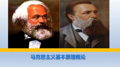 马克思主义基本原理概论ppt第三章