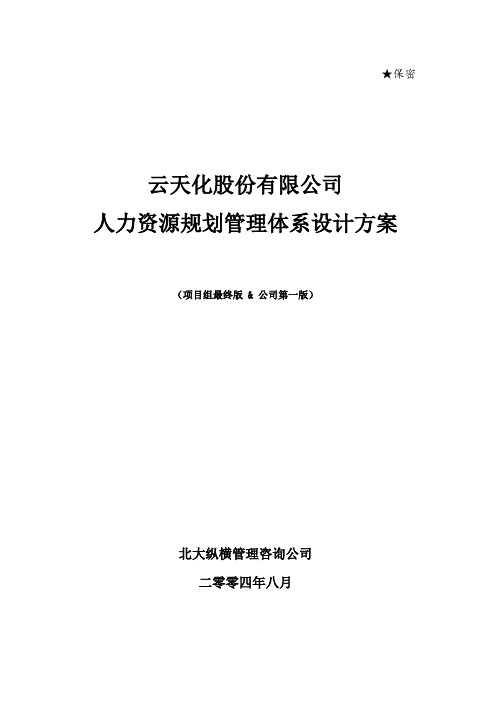 北大纵横—云南云天化—云天化人力资源规划方案