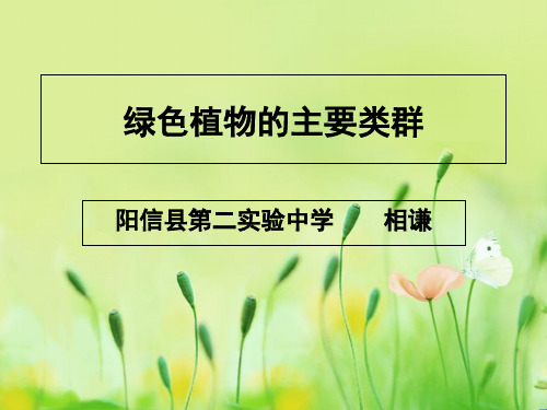 济南版七年级生物上册2.1.1绿色植物的主要类群(共25张PPT)