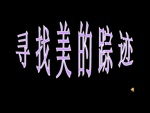 《寻找美的踪迹》美术教材PPT课件讲义