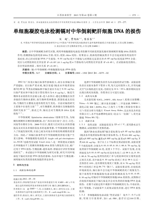 单细胞凝胶电泳检测镉对中华倒刺鲃肝细胞DNA的损伤宋超
