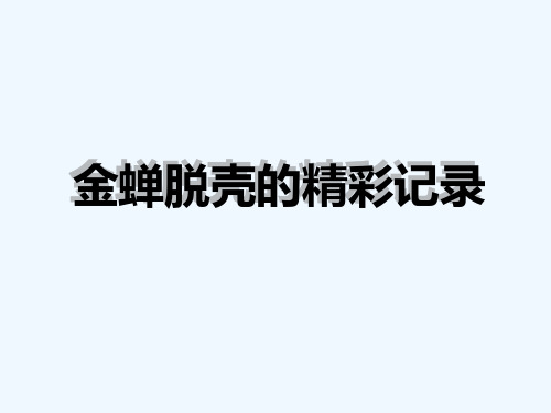 《课程讲解》-7金蝉脱壳的全过程