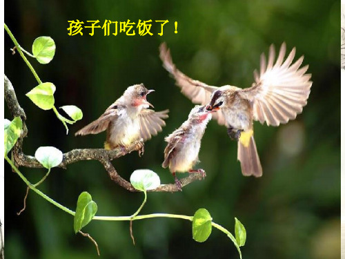 《我不是一个好儿子》