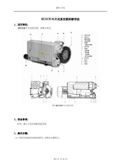 BUSCH叶片式真空泵拆解详述