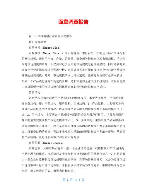 面塑调查报告