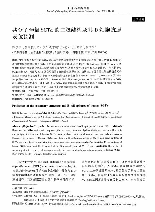 共分子伴侣SGTα的二级结构及其B细胞抗原表位预测