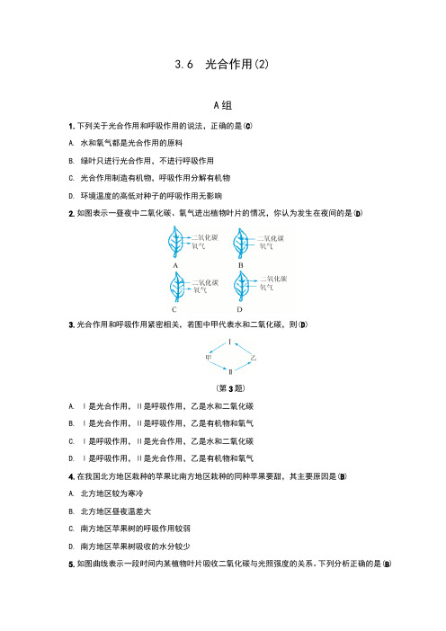 浙教版八年级科学下册3.6《光合作用(2)》同步习题(含答案)