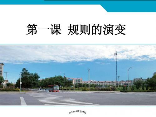规则的演变