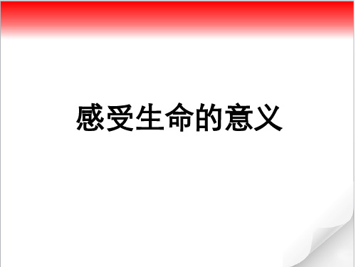 《道德与法治》七年级上册10.1 感受生命的意义