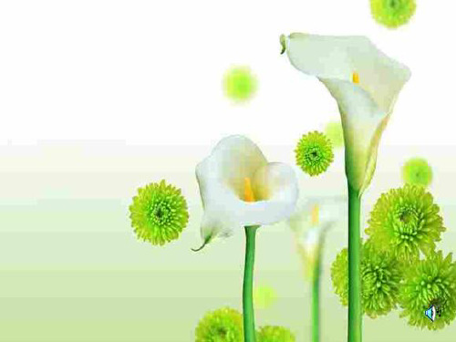 新沪科版八年4.5《科学探究：凸透镜成像》课件