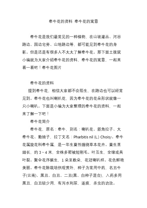 牵牛花的资料 牵牛花的寓意